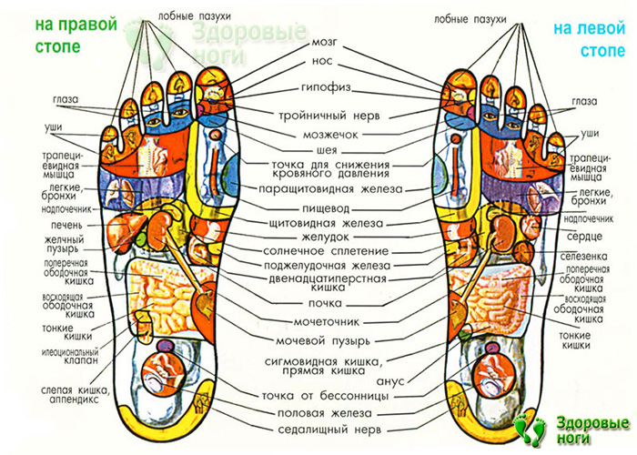 Вибрирующие ролики в массажере для ног воздействуют на рефлекторные точки стопы