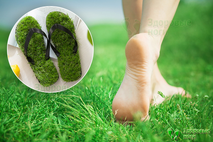 Тапочки (шлепанцы) обладают эффектом хождения по траве, что очень приятно и полезно для здоровья