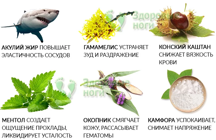 Гамамелис Свечи От Геморроя Цена