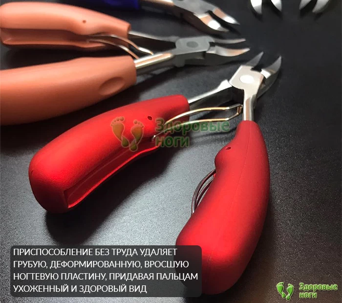 Цена на маникюрные кусачки доступна любому кошельку