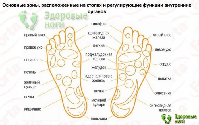 Отзывы на массажные стельки для снятия напряжения в мышцах и суставах говорят об их эффективности