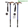 Телескопические палки для скандинавской ходьбы до 135 см, 4 секции