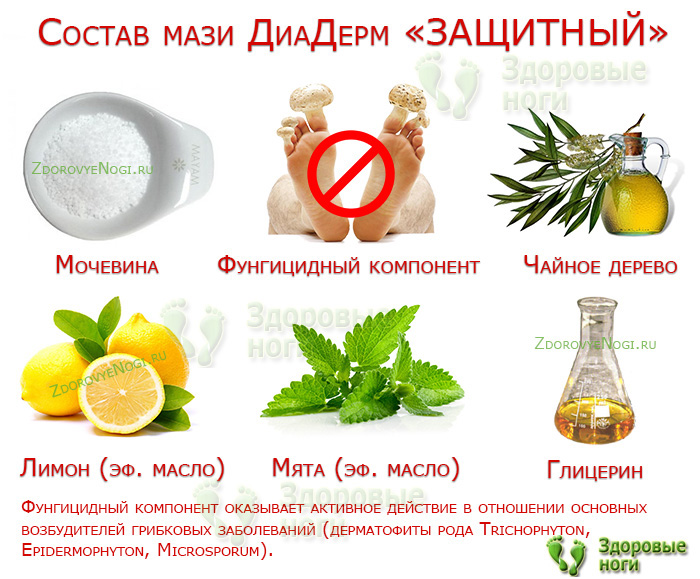 Основа крема Основа крема